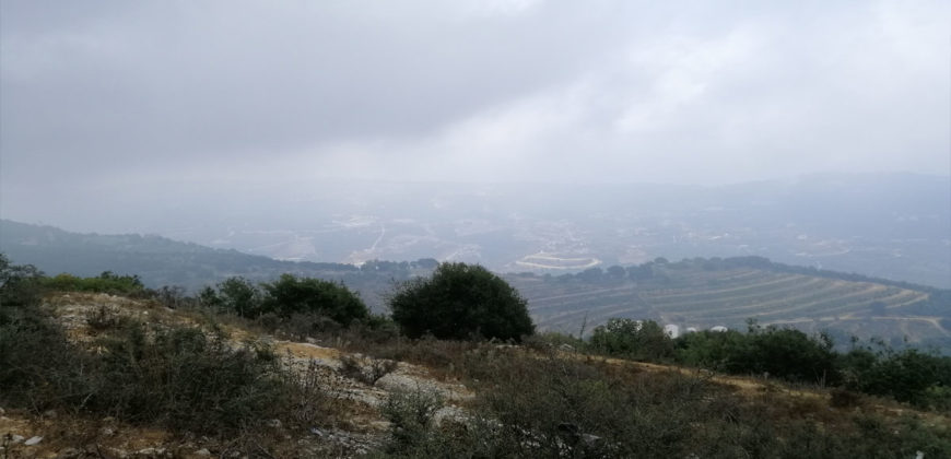 Land for Sale Ras Osta Jbeil Area 8013Sqm