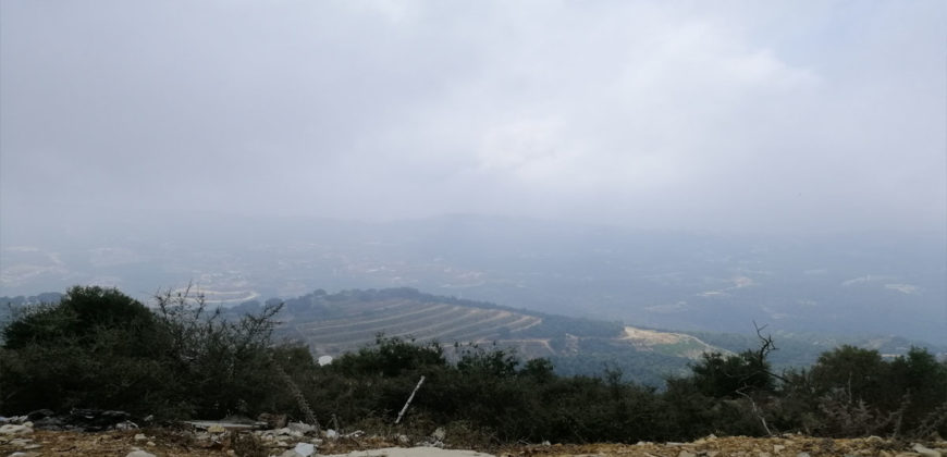 Land for Sale Ras Osta Jbeil Area 8013Sqm