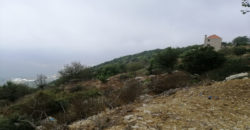Land for Sale Ras Osta Jbeil Area 8013Sqm