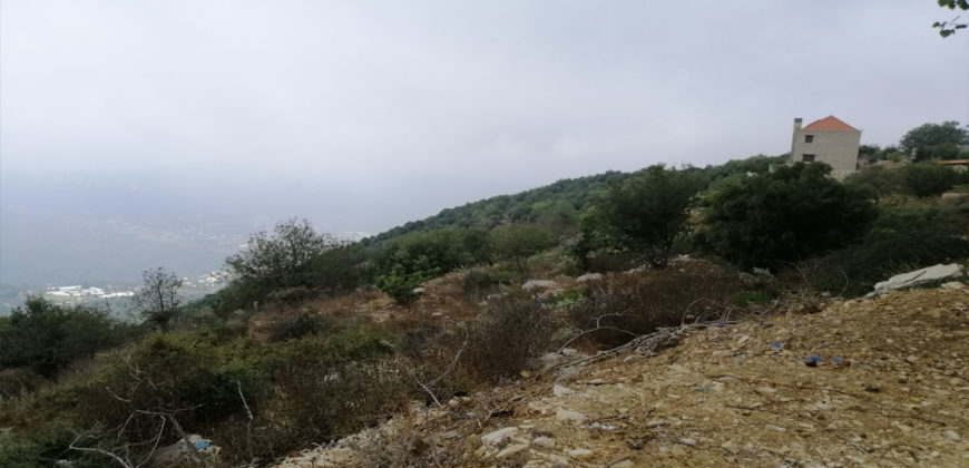 Land for Sale Ras Osta Jbeil Area 8013Sqm