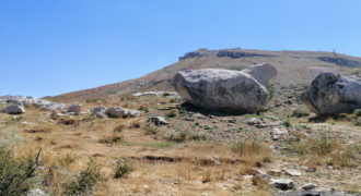 Land for Sale Aaqoura ( Laqlouq ) Area 1660Sqm