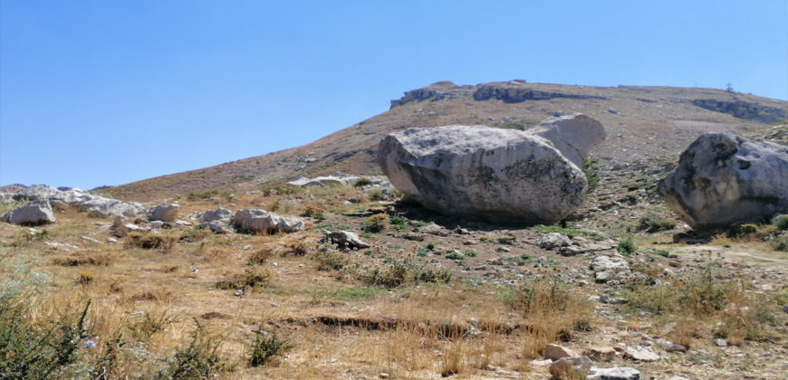 Land for Sale Aaqoura ( Laqlouq ) Area 1660Sqm