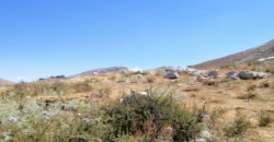 Land for Sale Aaqoura ( Laqlouq ) Area 1660Sqm
