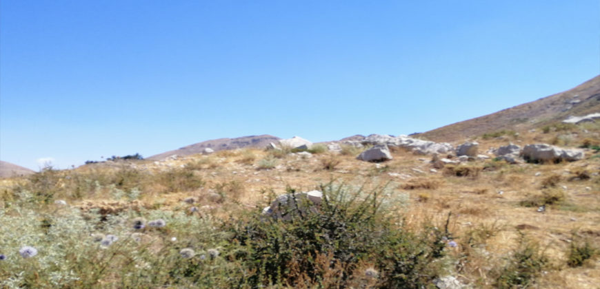 Land for Sale Aaqoura ( Laqlouq ) Area 1660Sqm
