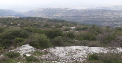 Land for Sale Hardine- Beit Kassab Batroun Area 1757Sqm