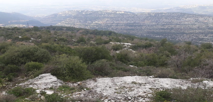 Land for Sale Hardine- Beit Kassab Batroun Area 1757Sqm