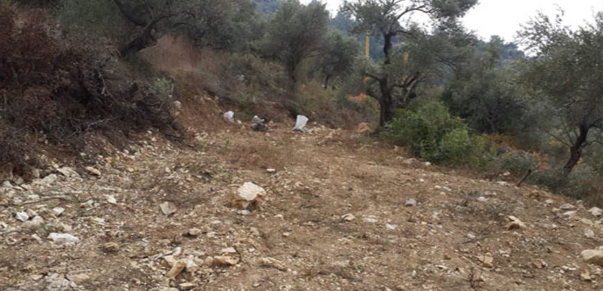Land for Sale Hardine- Beit Kassab Batroun Area 1757Sqm