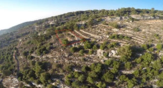 Land for Sale Hardine – Beit Kassab Batroun Area 606Sqm