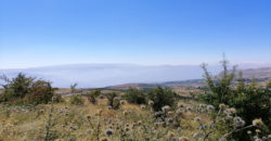 Land for Sale Aaqoura ( Laqlouq ) Area 696Sqm