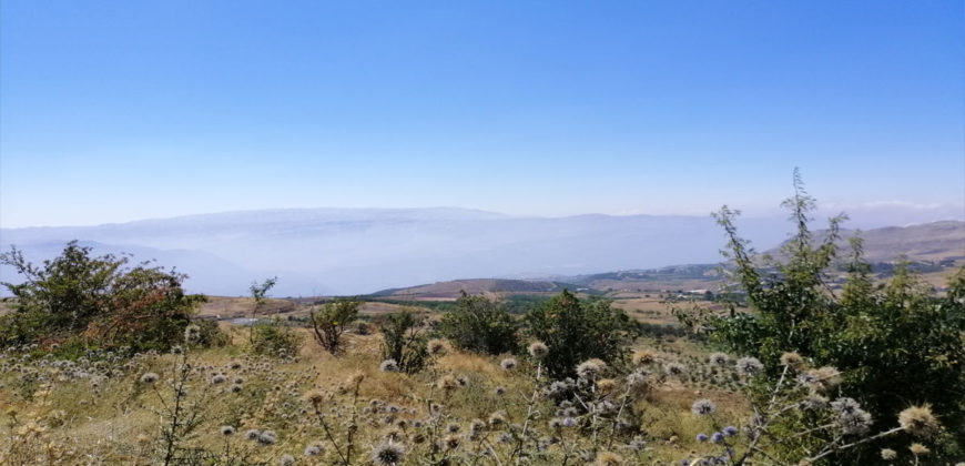 Land for Sale Aaqoura ( Laqlouq ) Area 696Sqm