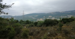 Land for Sale Zebdine Jbeil Area 1100Sqm