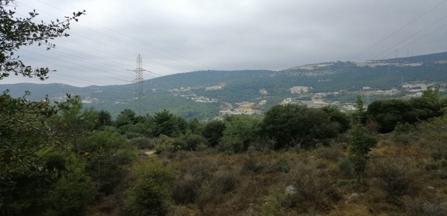 Land for Sale Zebdine Jbeil Area 1100Sqm