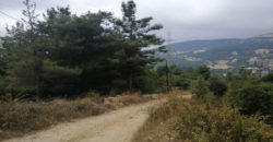 Land for Sale Zebdine Jbeil Area 1100Sqm