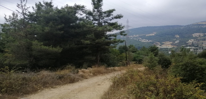 Land for Sale Zebdine Jbeil Area 1100Sqm