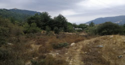 Land for Sale Zebdine Jbeil Area 1100Sqm