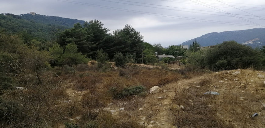Land for Sale Zebdine Jbeil Area 1100Sqm