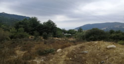 Land for Sale Zebdine Jbeil Area 1100Sqm