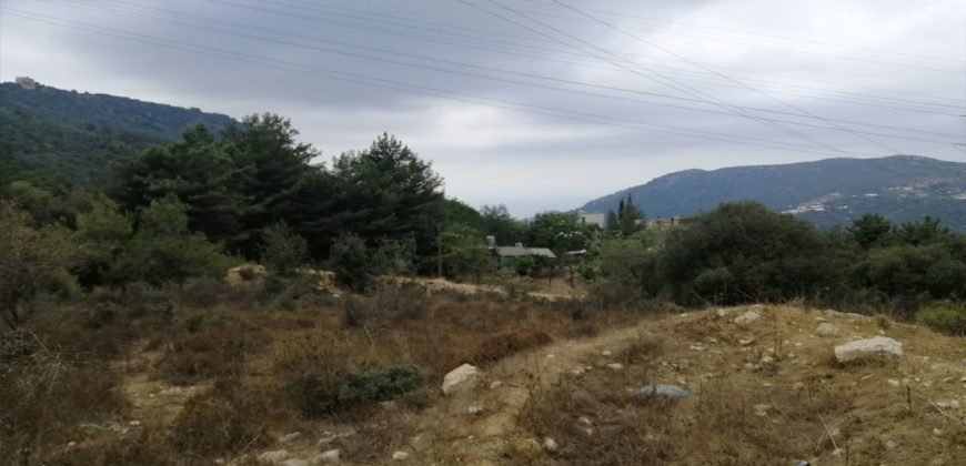 Land for Sale Zebdine Jbeil Area 1100Sqm