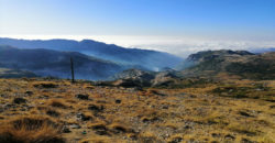 Land for Sale Tannourine – Faouqa – ( Msateb -Ain Et Tillaje ) Batroun Area 2000Sqm