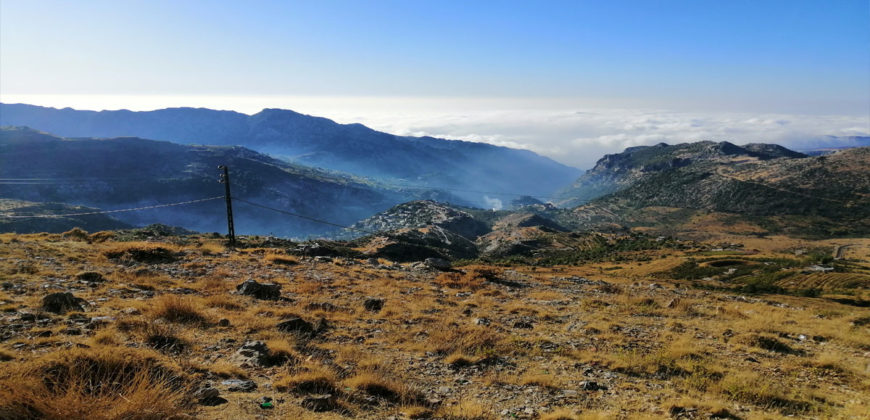 Land for Sale Tannourine – Faouqa – ( Msateb -Ain Et Tillaje ) Batroun Area 2000Sqm