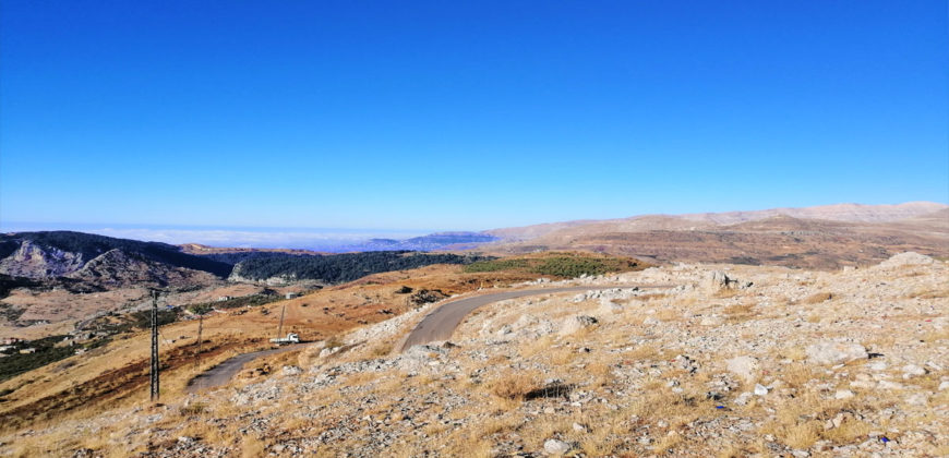 Land for Sale Tannourine – Faouqa – ( Msateb -Ain Et Tillaje ) Batroun Area 2000Sqm