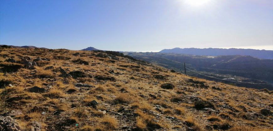 Land for Sale Tannourine – Faouqa – ( Msateb -Ain Et Tillaje ) Batroun Area 2000Sqm