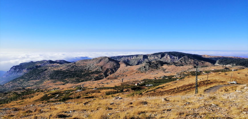 Land for Sale Tannourine – Faouqa – ( Msateb -Ain Et Tillaje ) Batroun Area 2450Sqm.