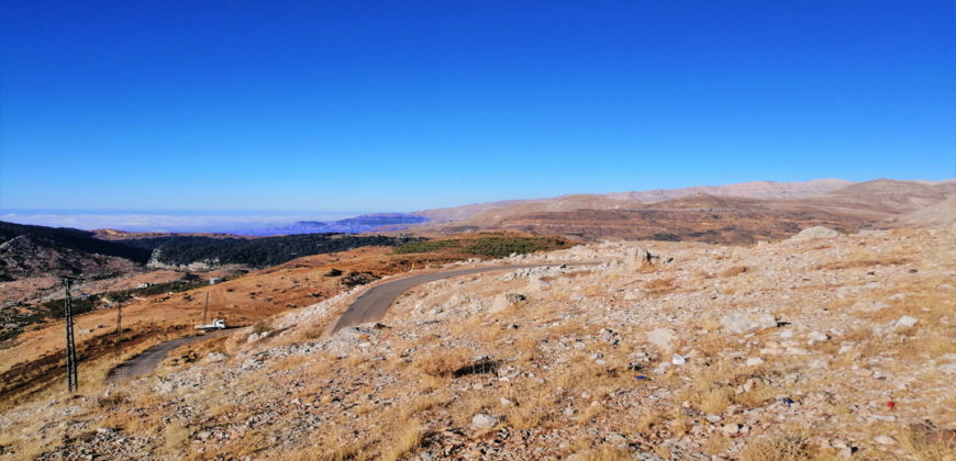 Land for Sale Tannourine – Faouqa – ( Msateb -Ain Et Tillaje ) Batroun Area 2450Sqm.