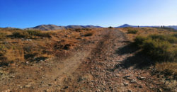 Land for Sale Tannourine – Faouqa – ( Msateb -Ain Et Tillaje ) Batroun Area 2450Sqm.