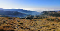 Land for Sale Tannourine – Faouqa – ( Msateb -Ain Et Tillaje ) Batroun Area 2450Sqm.