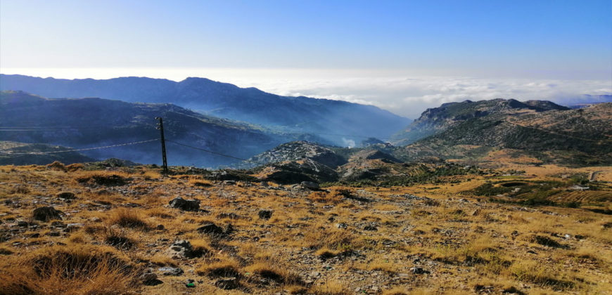 Land for Sale Tannourine – Faouqa – ( Msateb -Ain Et Tillaje ) Batroun Area 2450Sqm.