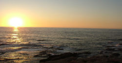 Land for Sale Aamchit Jbeil Area 2900Sqm