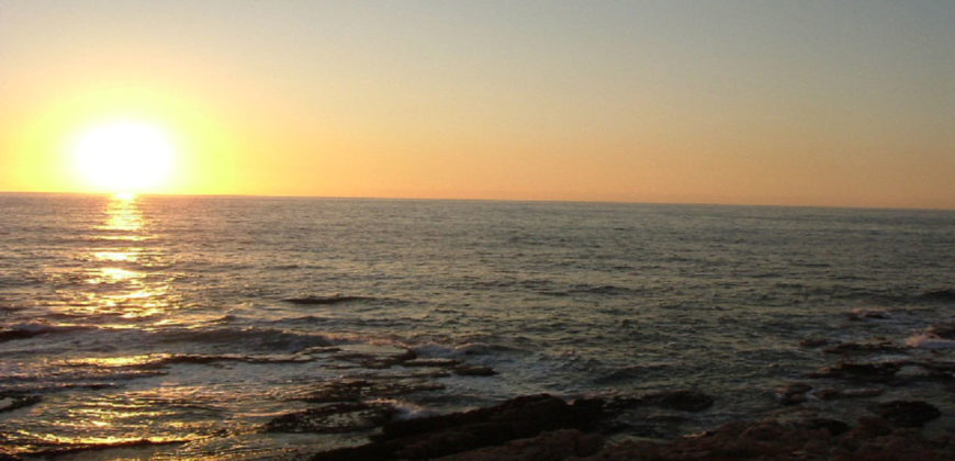Land for Sale Aamchit Jbeil Area 2900Sqm