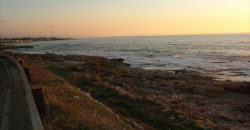 Land for Sale Aamchit Jbeil Area 2900Sqm