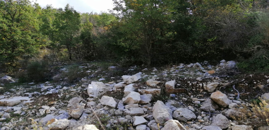 Land for Sale Mechmech Jbeil Area 1443Sqm