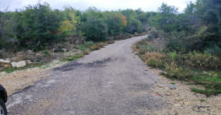 Land for Sale Mechmech Jbeil Area 1443Sqm
