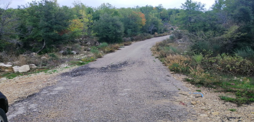 Land for Sale Mechmech Jbeil Area 1443Sqm