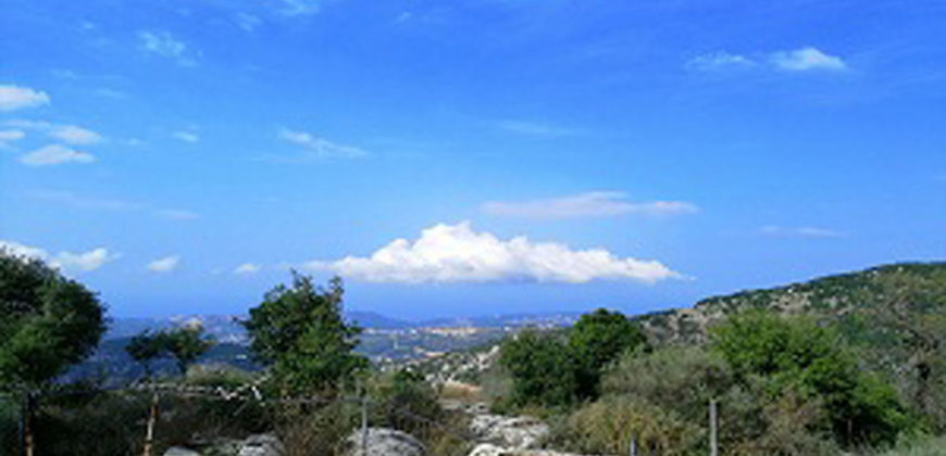 Land for Sale Mechmech Jbeil Area 1201Sqm
