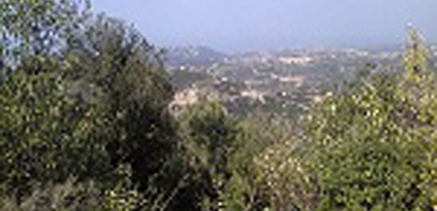 Land for Sale Mechmech Jbeil Area 1613Sqm