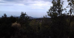 Land for Sale Mechmech Jbeil Area 1613Sqm