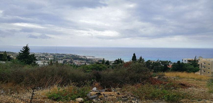 Land for Sale Jdayel Jbeil Area 3368Sqm