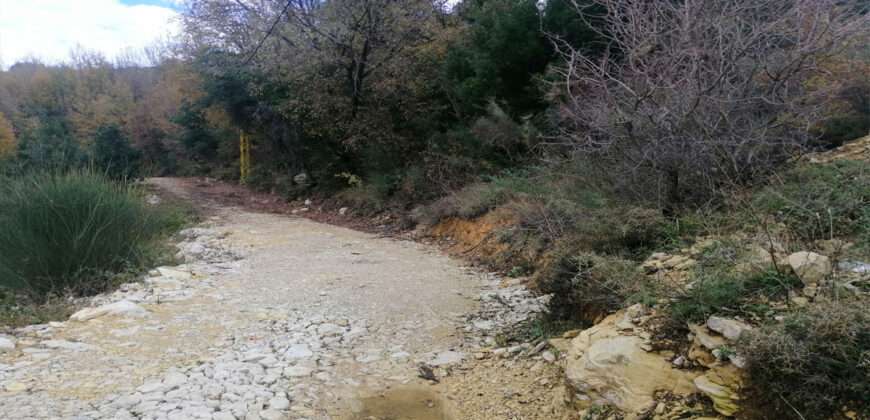 Land for Sale Lehfed Jbeil 661Sqm
