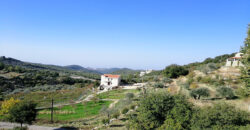 Land for Sale Mechmech Jbeil Area 1400Sqm