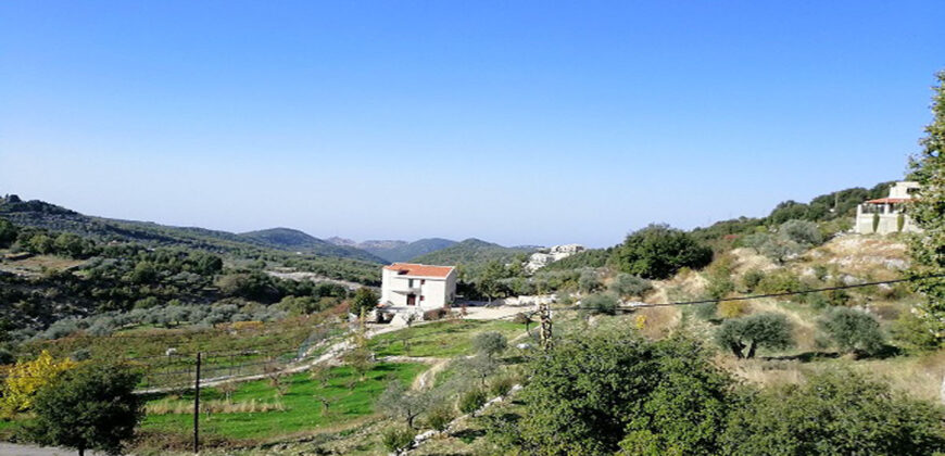 Land for Sale Mechmech Jbeil Area 1400Sqm