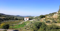 Land for Sale Mechmech Jbeil Area 1400Sqm