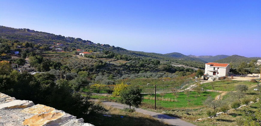 Land for Sale Mechmech Jbeil Area 1400Sqm