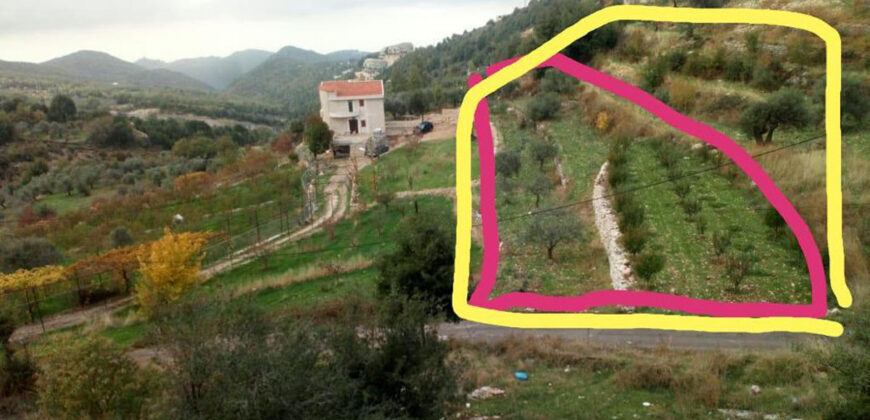 Land for Sale Mechmech Jbeil Area 1400Sqm
