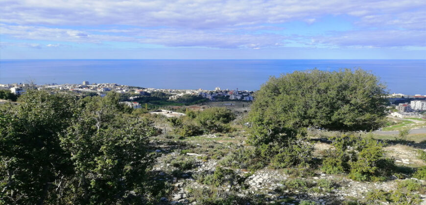 Land for Sale Bouar Kesserwan Area 1338Sqm