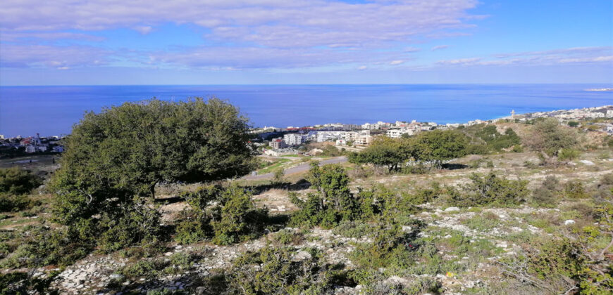 Land for Sale Bouar Kesserwan Area 1338Sqm