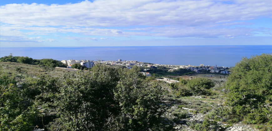 Land for Sale Bouar Kesserwan Area 1338Sqm